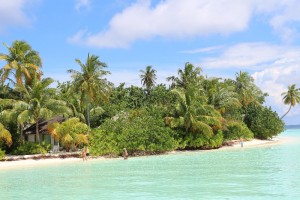 Safari Island Resort Ari Nord Maldive 3