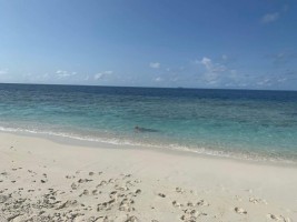 Sandies Bathala Ari Nord Maldive 5