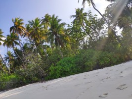 Filitheyo Island Resort Faafu Maldive 3