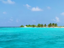 Filitheyo Island Resort Faafu Maldive 4