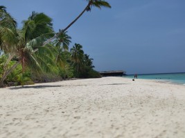 Filitheyo Island Resort Faafu Maldive 6