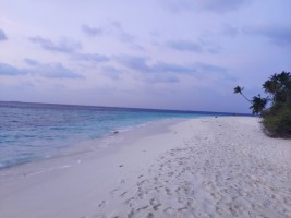 Filitheyo Island Resort Faafu Maldive 8