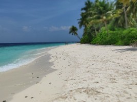 Filitheyo Island Resort Faafu Maldive 13