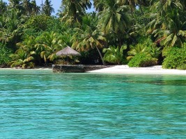 Filitheyo Island Resort Faafu Maldive 19