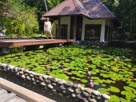 Filitheyo Island Resort Faafu Maldive 20