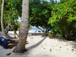 Filitheyo Island Resort Faafu Maldive 21