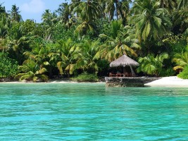 Filitheyo Island Resort Faafu Maldive 39