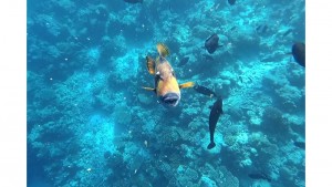 Filitheyo Island Resort Faafu Maldive 41