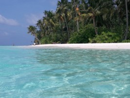 Filitheyo Island Resort Faafu Maldive 46