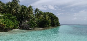 Fihalhohi Maldives Male Sud Maldive 3