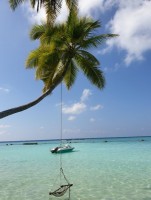 Fihalhohi Maldives Male Sud Maldive 5