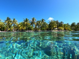 Vilamendhoo Island Resort Ari Sud Maldive 3