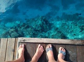 Vilamendhoo Island Resort Ari Sud Maldive 12