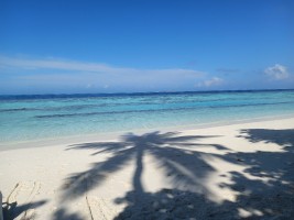 Vilamendhoo Island Resort Ari Sud Maldive 13