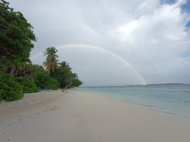 Vilamendhoo Island Resort Ari Sud Maldive 16