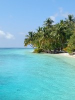 Vilamendhoo Island Resort Ari Sud Maldive 17