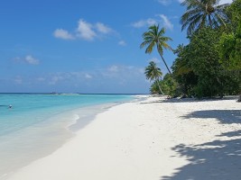 Vilamendhoo Island Resort Ari Sud Maldive 19