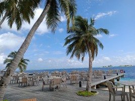 Vilamendhoo Island Resort Ari Sud Maldive 20