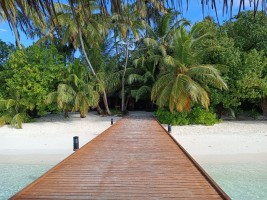 Vilamendhoo Island Resort Ari Sud Maldive 22