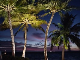 Vilamendhoo Island Resort Ari Sud Maldive 23