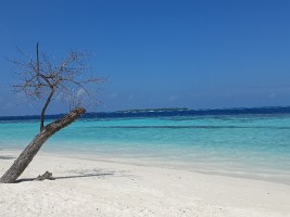 Vilamendhoo Island Resort Ari Sud Maldive 26