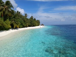 Vilamendhoo Island Resort Ari Sud Maldive 32