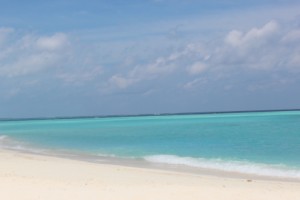 Cinnamon Velifushi Maldives Felidhoo Maldive 2