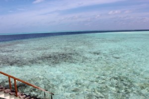 Cinnamon Velifushi Maldives Felidhoo Maldive 4