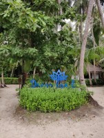 Dreamland Unique Island Baa Maldive 16