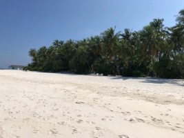 Angaga Island Resort Ari Sud Maldive 7