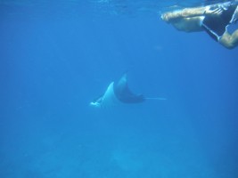 Eriyadu Island Resort Male Nord Maldive 2