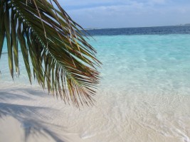 Eriyadu Island Resort Male Nord Maldive 6
