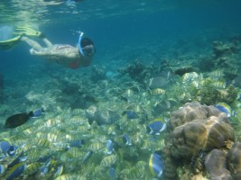 Eriyadu Island Resort Male Nord Maldive 13