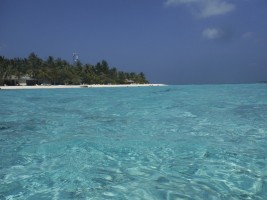 Eriyadu Island Resort Male Nord Maldive 38