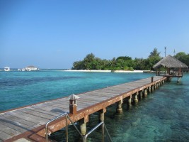 Eriyadu Island Resort Male Nord Maldive 50