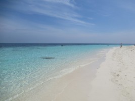 Eriyadu Island Resort Male Nord Maldive 51