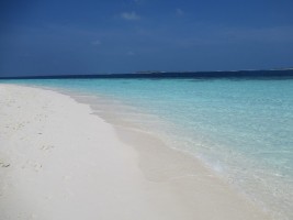 Eriyadu Island Resort Male Nord Maldive 54