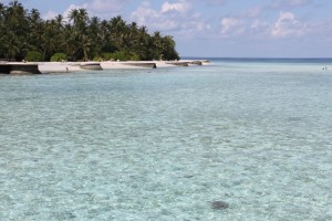 Alimathà Maldives Felidhoo Maldive 5
