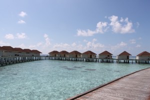 Alimathà Maldives Felidhoo Maldive 6