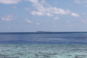 Alimathà Maldives Felidhoo Maldive 7