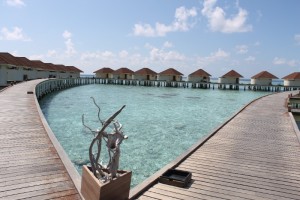Alimathà Maldives Felidhoo Maldive 8