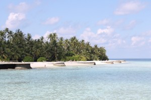 Alimathà Maldives Felidhoo Maldive 11
