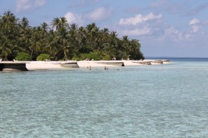 Alimathà Maldives Felidhoo Maldive 12