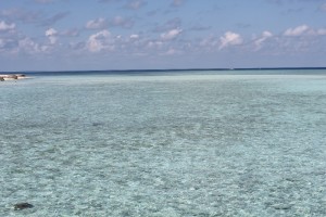 Alimathà Maldives Felidhoo Maldive 13