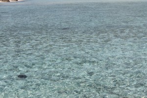 Alimathà Maldives Felidhoo Maldive 14