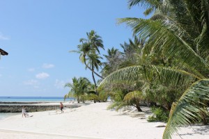 Alimathà Maldives Felidhoo Maldive 15
