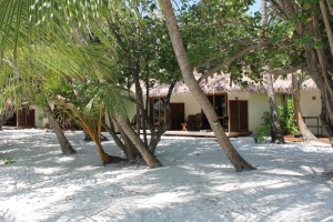 Alimathà Maldives Felidhoo Maldive 17