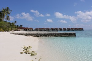 Alimathà Maldives Felidhoo Maldive 20