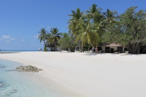 Alimathà Maldives Felidhoo Maldive 21