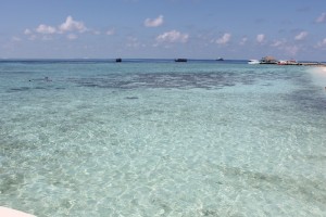 Alimathà Maldives Felidhoo Maldive 25